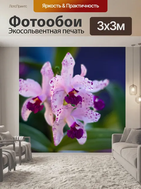 Фотообои Цветы