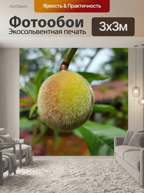 Фотообои Персик