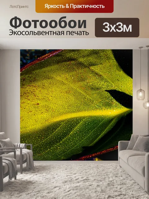 Фотообои Капли воды на широком листе Закрыть