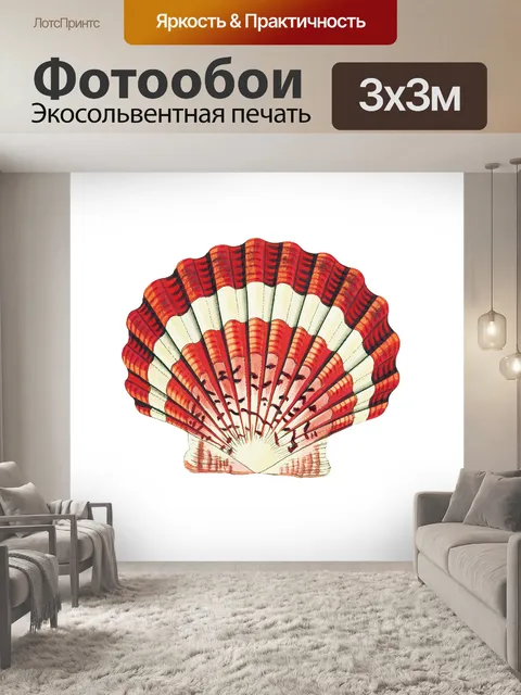 Фотообои Морская ракушка клипарт винтажное искусс