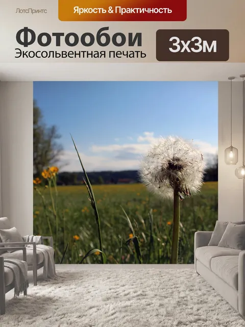 Фотообои Одуванчик