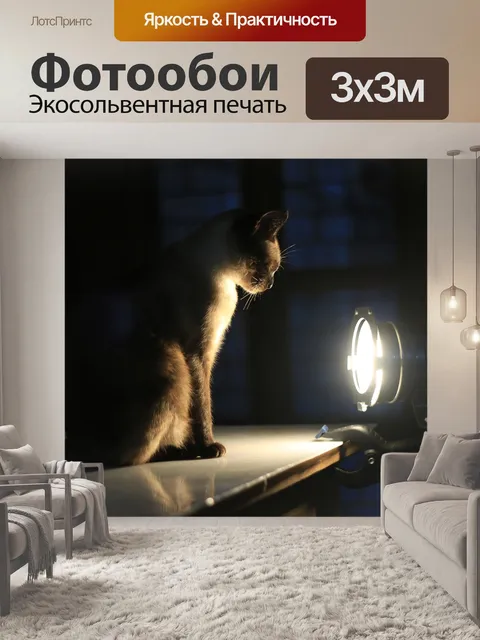 Фотообои Кошка