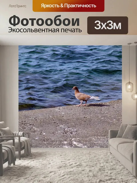 Фотообои Птица