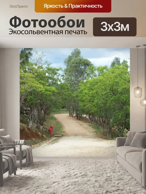 Фотообои Грунтовая дорога
