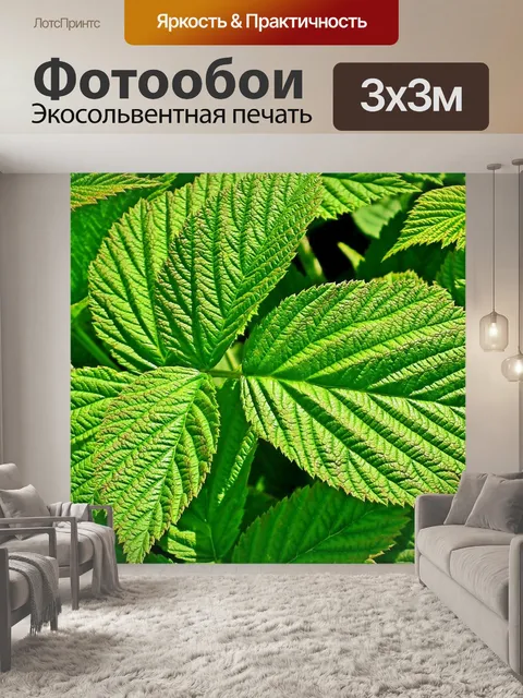 Фотообои Листья