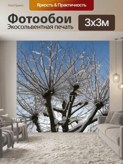 Фотообои Зима