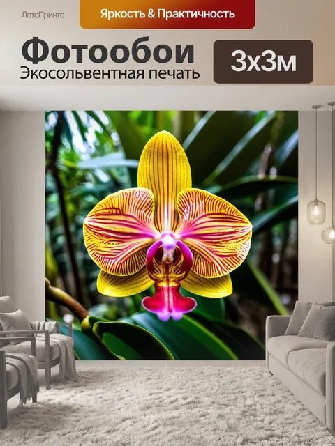 Фотообои уникальная красота орхидеи, цветущей в тропическом лесу