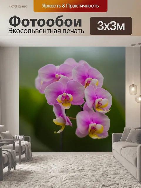 Фотообои Цветок