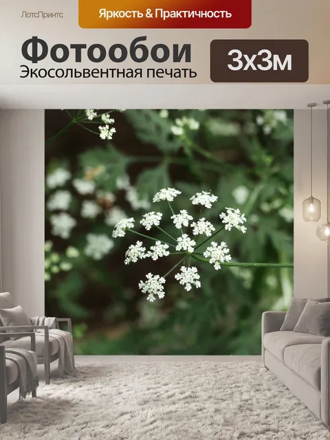 Фотообои Хедж Петрушка Wildflower