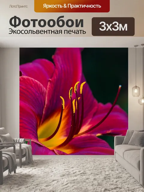 Фотообои Цветы