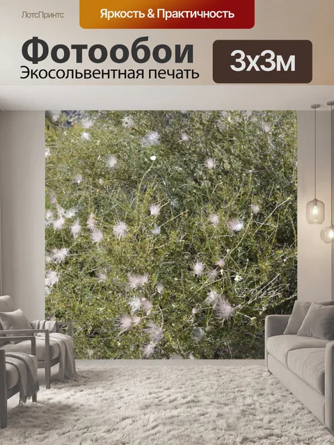 Фотообои Завод красочные цветы Флора макро