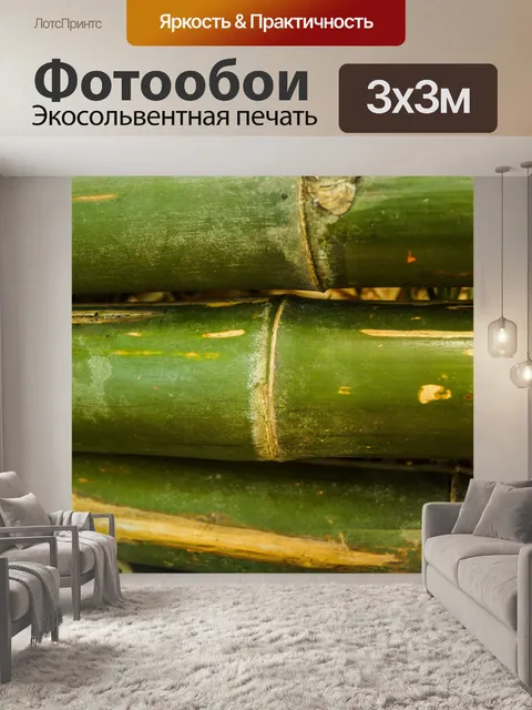 Фотообои Бамбуковый лес природа фон