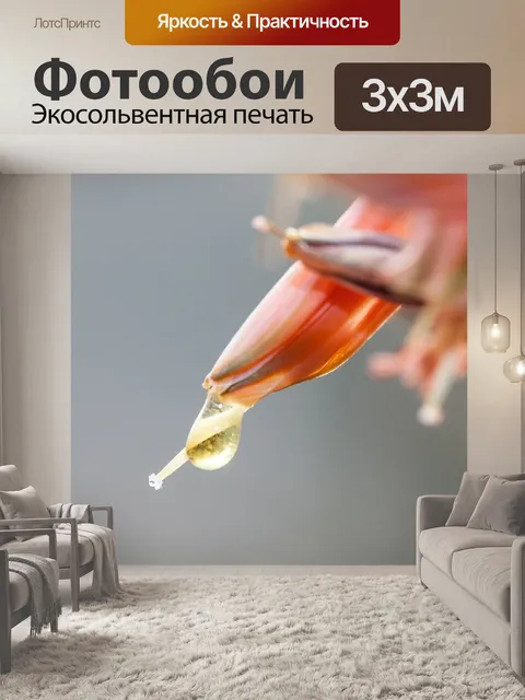 Фотообои Цветок