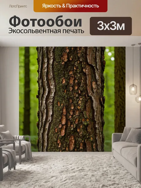 Фотообои текстура коры дерева в лесу