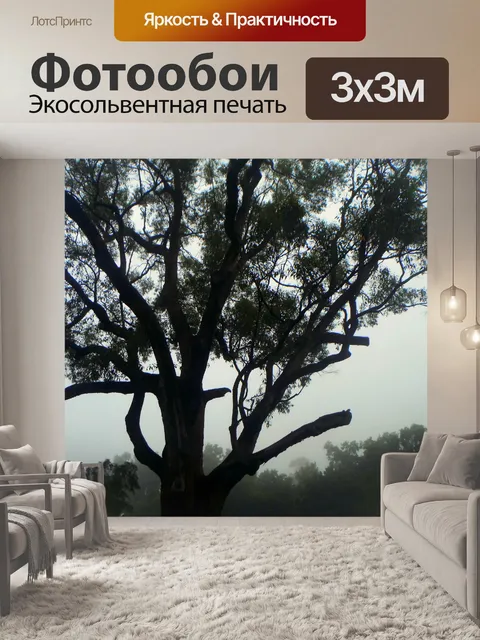 Фотообои Дерево с туманом