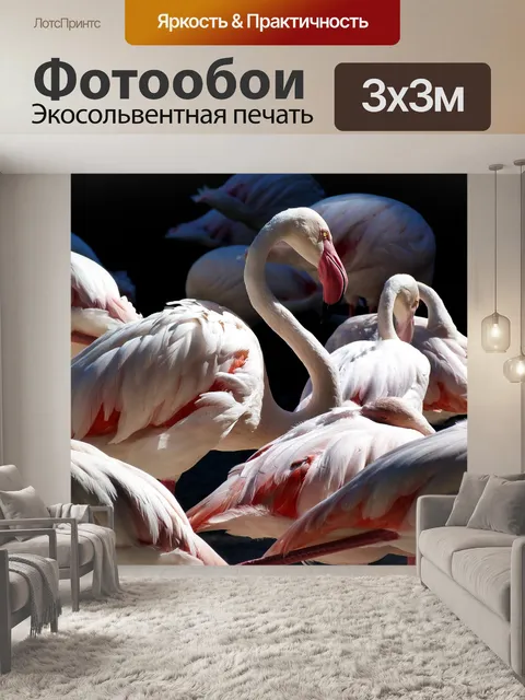 Фотообои Фламинго