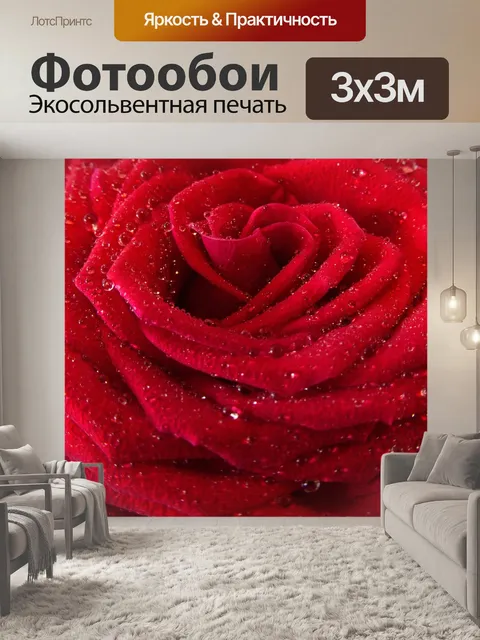 Фотообои Роза