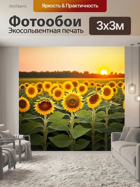 Фотообои природа в стиле мартин джонсон хид: вечерний вид на поле с подсолнухами