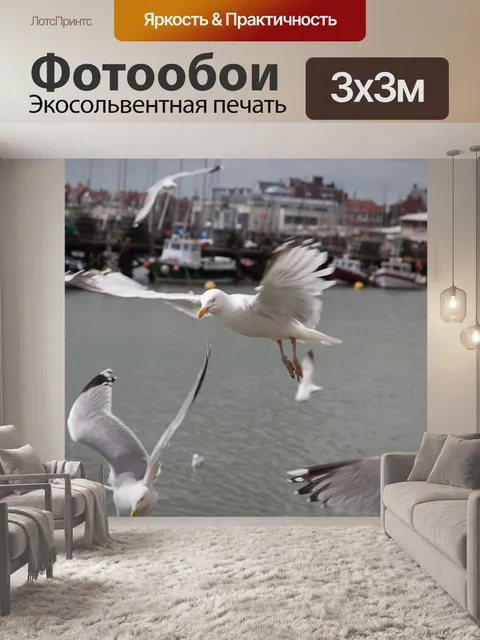 Фотообои Чайки в море