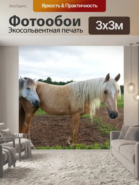 Фотообои Лошади и пони