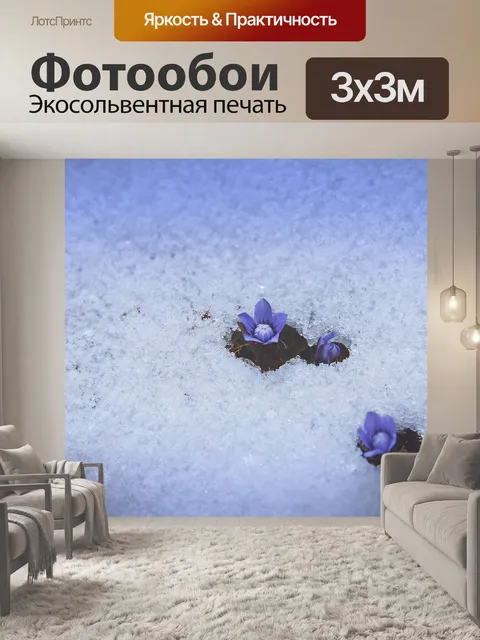 Фотообои Цветы