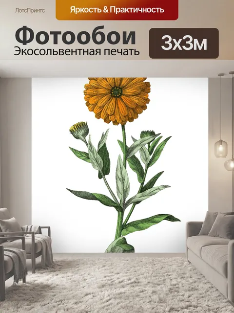 Фотообои Цветы клипарт графический рисунок