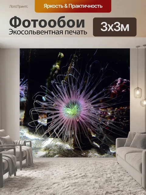 Фотообои Морской анемон