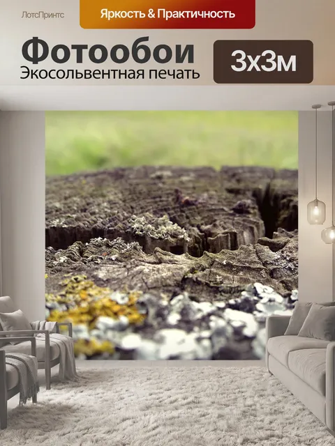 Фотообои Древесина