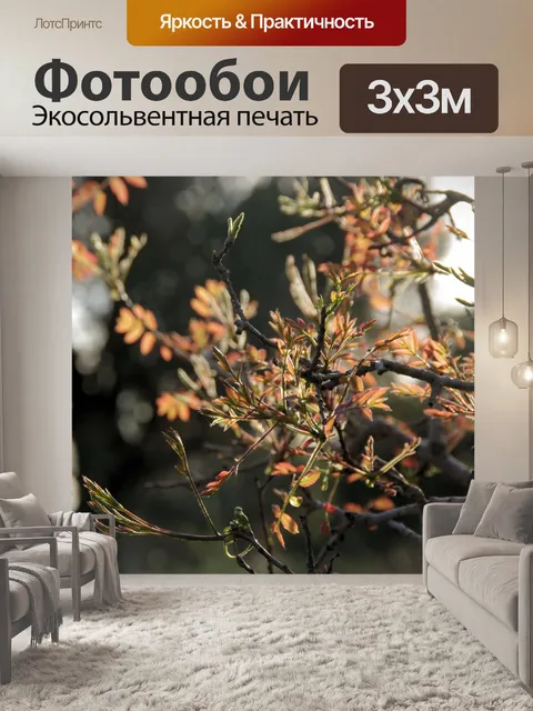 Фотообои Новые листья красного дерева