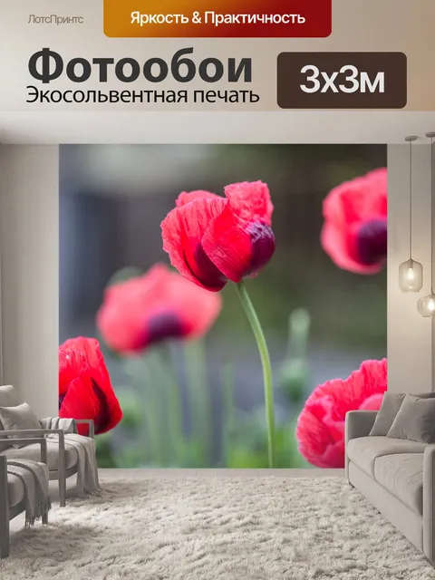 Фотообои Маки
