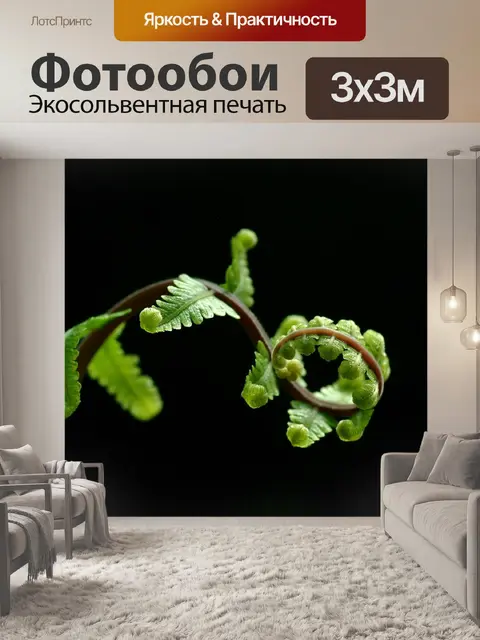 Фотообои Папоротник