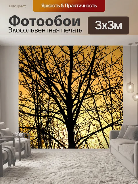 Фотообои Закат и дерево