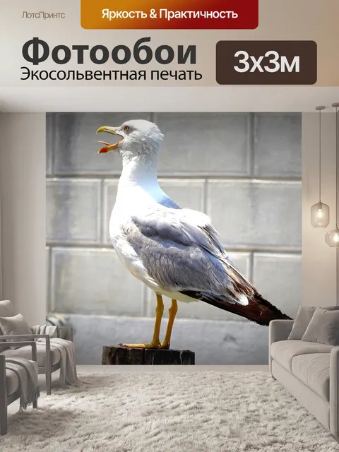 Фотообои Чайка