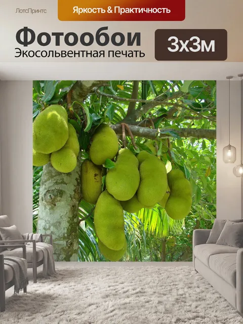 Фотообои Природа