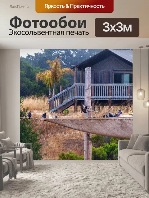 Фотообои Птицы на навесе