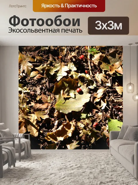 Фотообои Осень опавшие листья