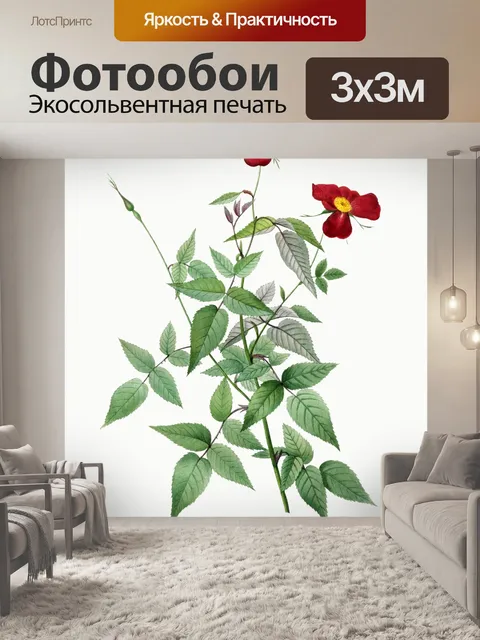 Фотообои Роза цветок винтажное искусство