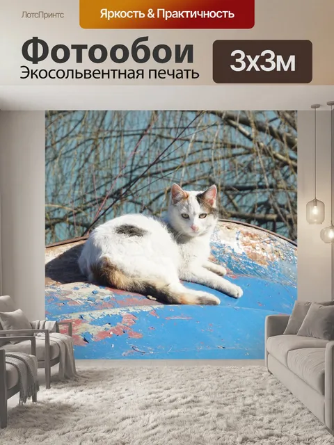 Фотообои Кошка