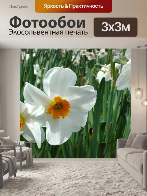 Фотообои Весенние цветы