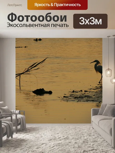Фотообои Аллигатор и белая цапля