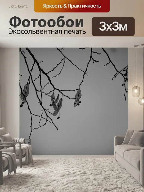 Фотообои Ветви дерева