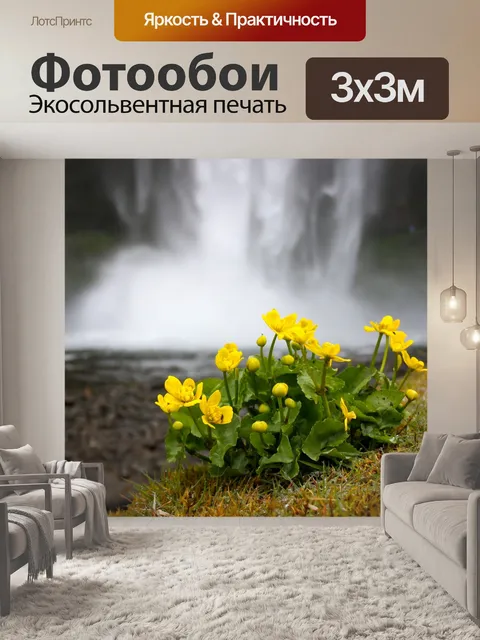 Фотообои Бархатцы марш