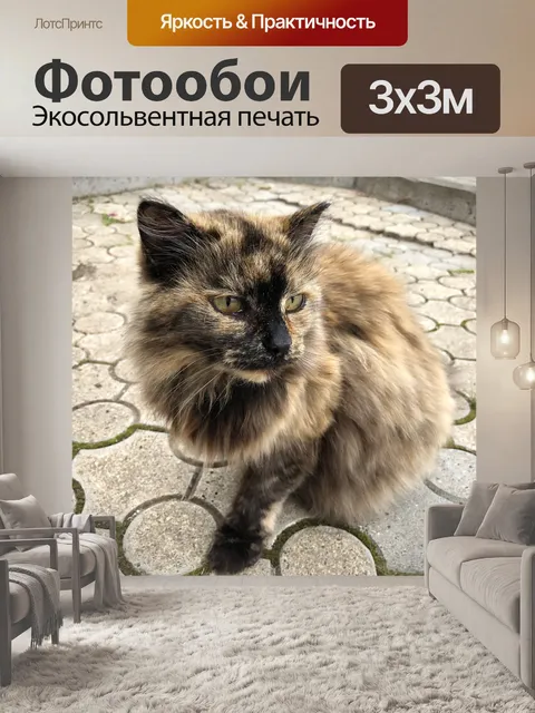 Фотообои Кошка