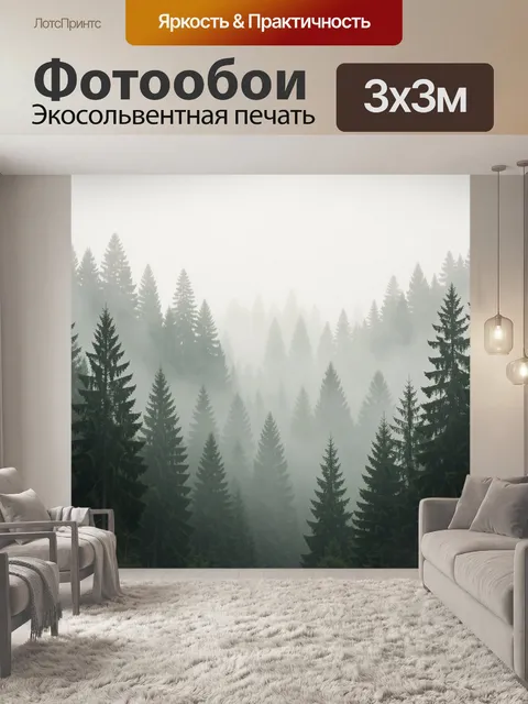 Фотообои Туманный хвойный лес