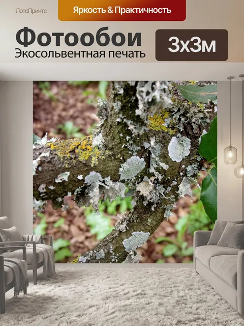 Фотообои Лишайник, листья и сорняки