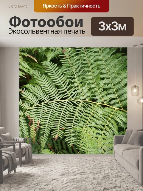 Фотообои Лес