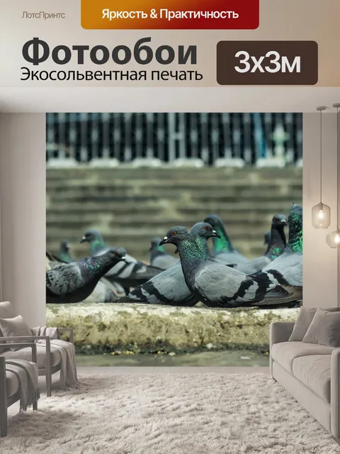 Фотообои Голуби