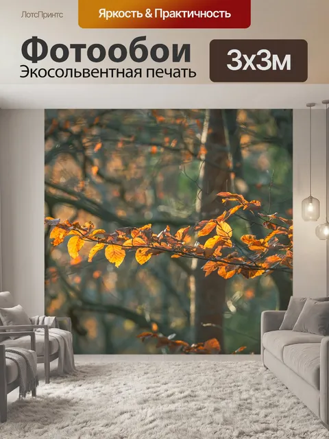 Фотообои Падение