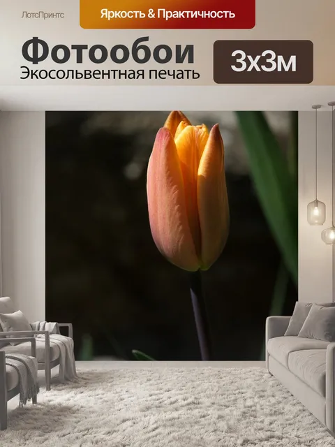 Фотообои Цветок