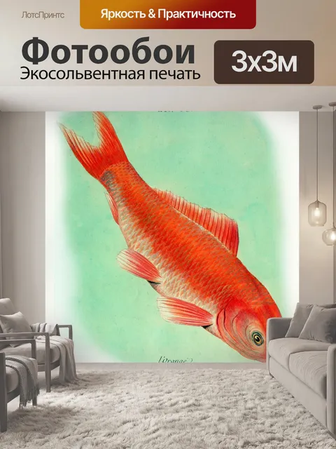 Фотообои Кои рыба винтаж старый